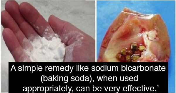 kidneysbakingsoda.png