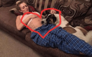 doggandwomen.png
