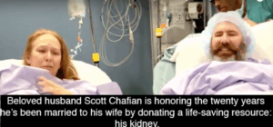 kidney.png